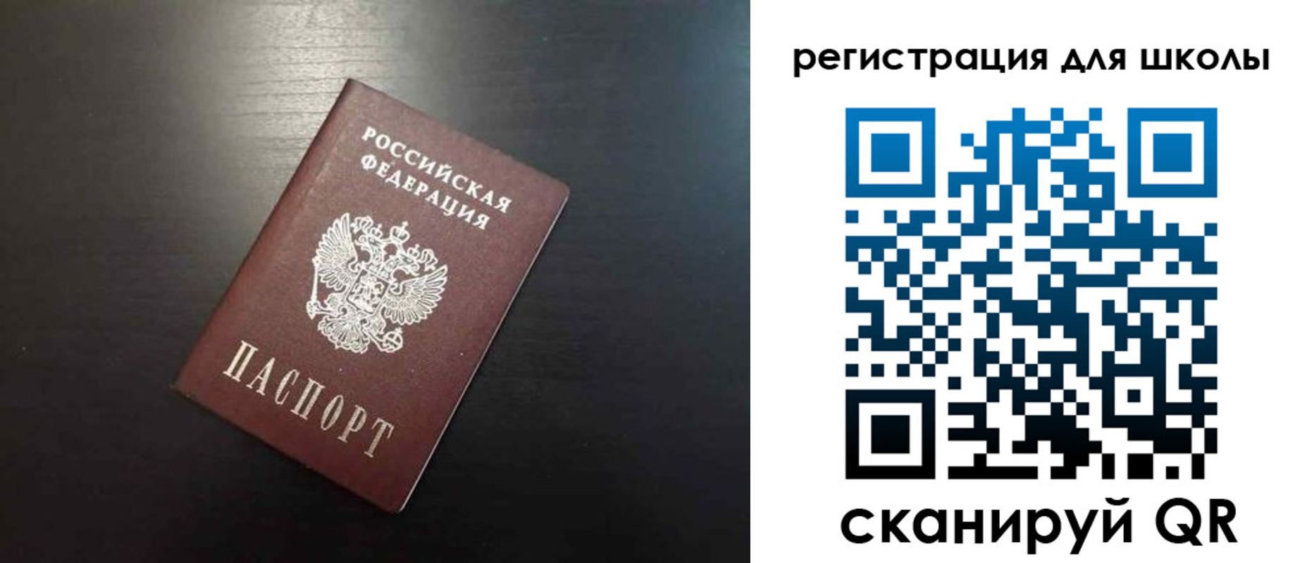 прописка поиск в Палласовке